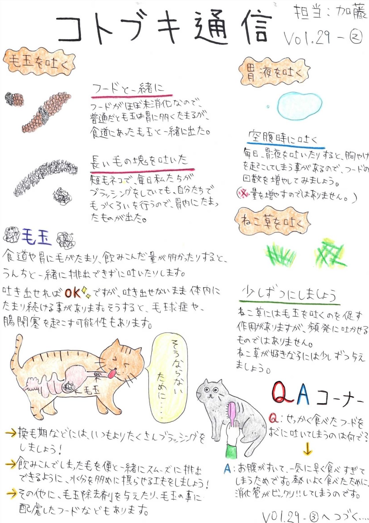 Vol.29-② 「猫の嘔吐についてのお話②」 | 横浜市港北区の動物病院