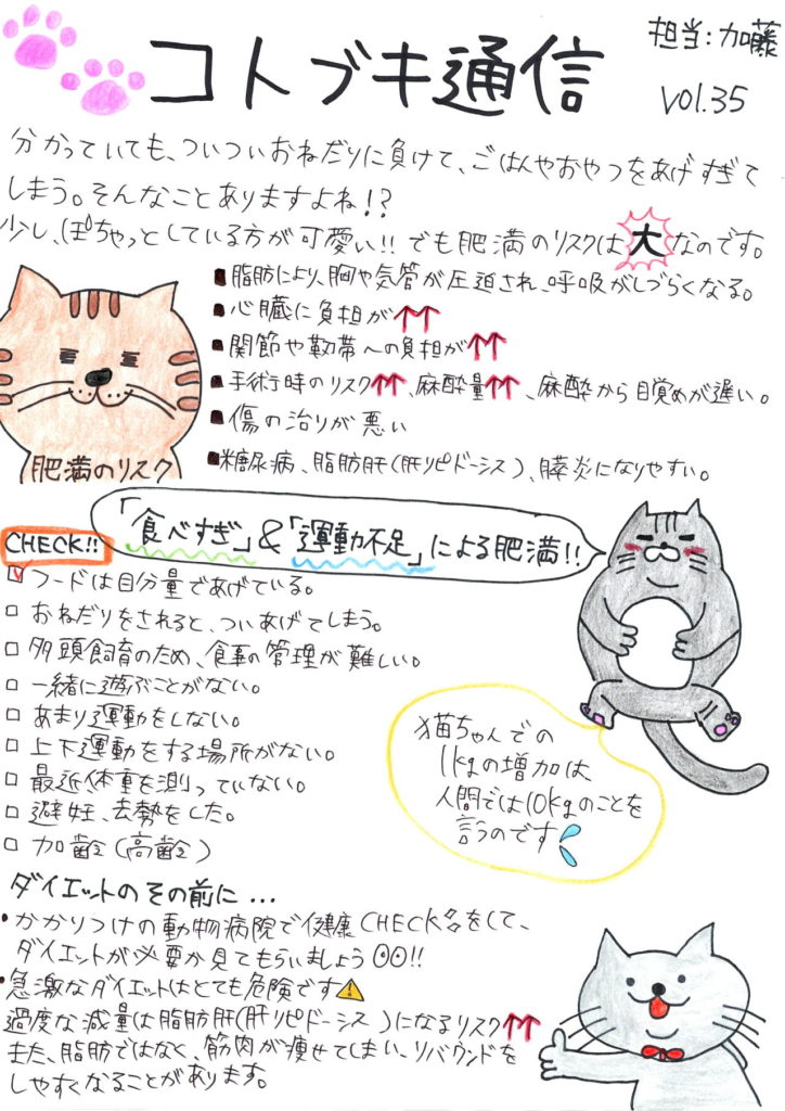 Vol 35 猫の肥満についてのお話 港北区の動物病院ならコトブキ獣医科医院 Vol 35 猫の肥満についてのお話 港北区の動物病院ならコトブキ獣医科医院