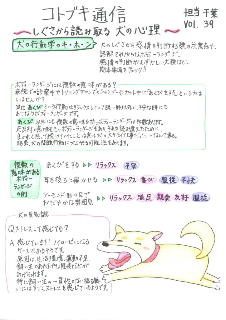 Vol 39 犬の行動 リラックス についてのお話 港北区の動物病院ならコトブキ獣医科医院
